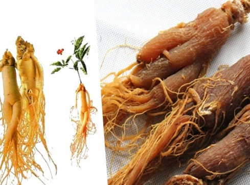 Orginal Kırmızı Ginseng Saf Öğütülmüş Toz 50 G