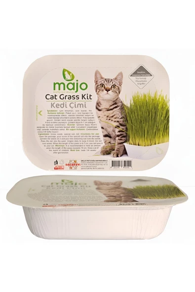 Majo  Naturel Kedi Çimi 2 Adet