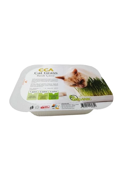 CCA  Naturel Cat Grass Organik Kedi Çimi