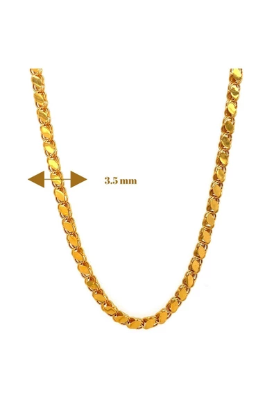 14 Ayar Altın 3.5 mm Pullu Zincir Kolye - 3