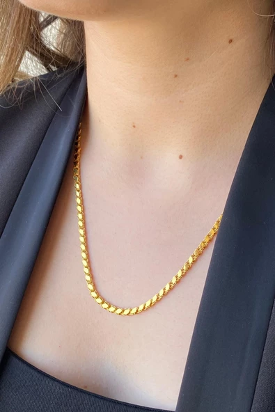 14 Ayar Altın 3.5 mm Pullu Zincir Kolye - 6