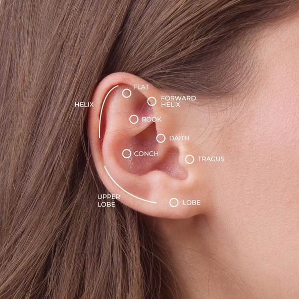Taşlı Arı Altın Piercing - 4