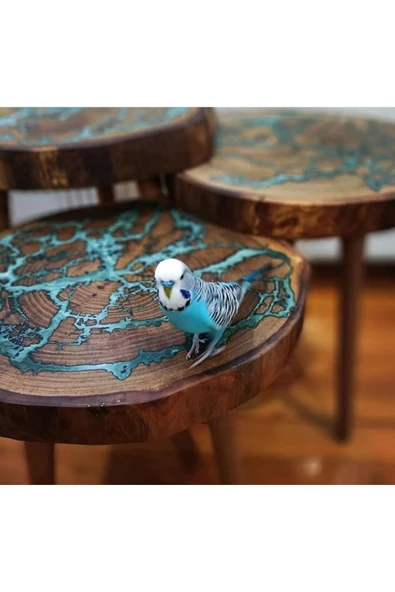 Lichtenberg Ahşap Yakma Makinesi Smart Hobby, Uzaktan Kumandalı, İzole Eldiven, Yalıtımlı Halı - 8