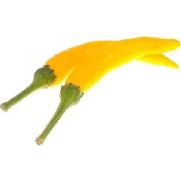 Sarı Şili Biber Tohumu Ekim Seti 10 Adet Tohum + Saksı+Toprak - Resim 2