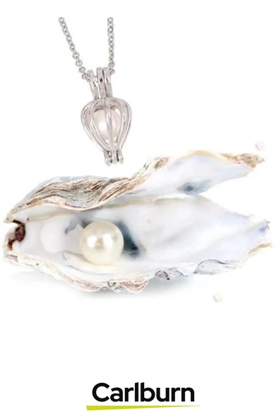 Özel Üretim Doğum Günü Sevgiliye Hediye Kutulu Şık İstiridye İçinde Gerçek İnci Kolye Aksesuar Seti - 3