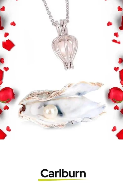 Özel Gün Hediye Sevgiliye Anneye Arkadaşa Kırmızı Gül Dolu Çekmeceli Kutu İstiridye İnci Kolye Seti - 4