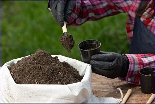 Bitki Toprağı Torf 40 Litre 10 Kğ - 2