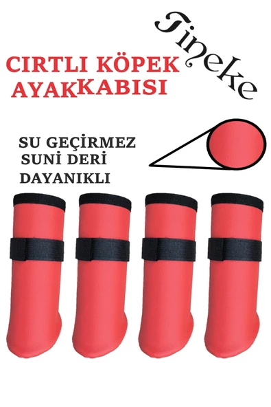 TİNEKE Cırtlı Köpek Ayakkabısı Kırmızı   M  BEDEN