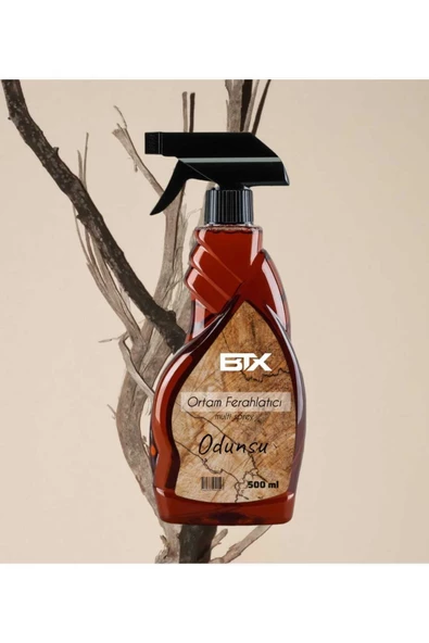 Betax Odunsu Ortam Ferahlatıcı Sprey 500 ml - Resim 2