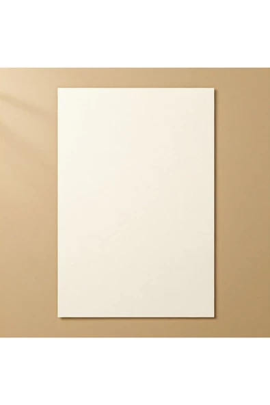 Japon Bristol Kağıt 315 Gr 35x50 Cm 100 Adet - 4