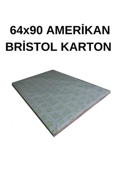 Amerikan Bristol Karton 64x90 Cm 50 Adet 250 gr