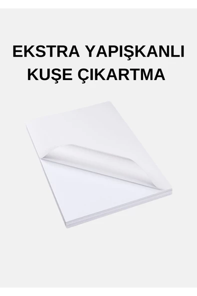 20 Adet Yapışkanlı Hotmelt Etiket Parlak Kuşe A4 Ebat (EKSTRA YAPIŞKANLI)
