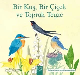 Bir Kuş, Bir Çiçek Ve Toprak Teyze