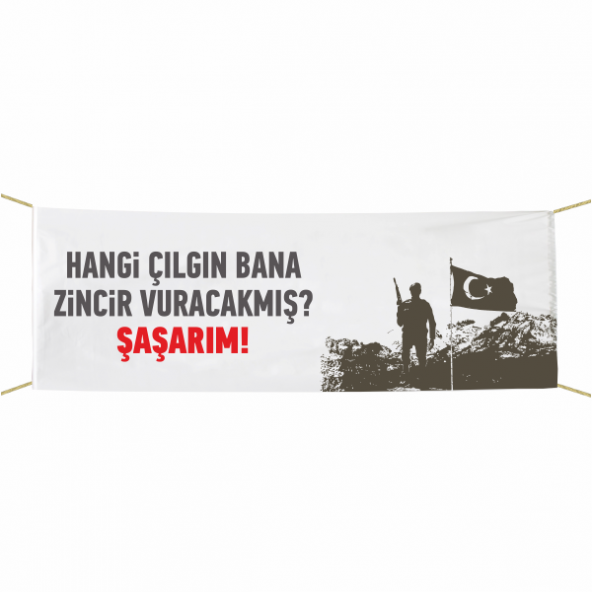 Hangi Çılgın Bana Zincir Vuracakmış Şaşarım Afiş- Pankar 75x300