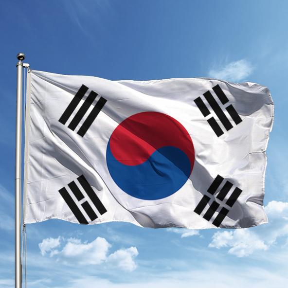 Güney Kore Bayrağı 100*150