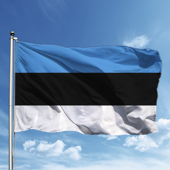 Estonya Bayrağı 150*225