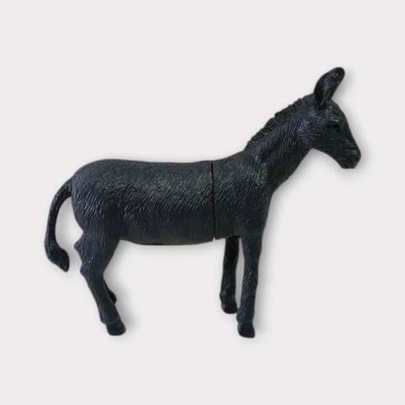 Çiftlik Hayvanları - Eşek - 2