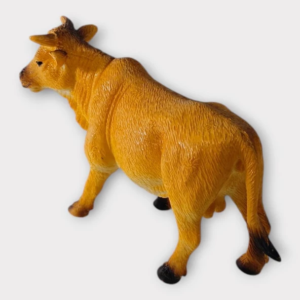 Çiftlik Hayvanları - Turuncu Boğa - Resim 3