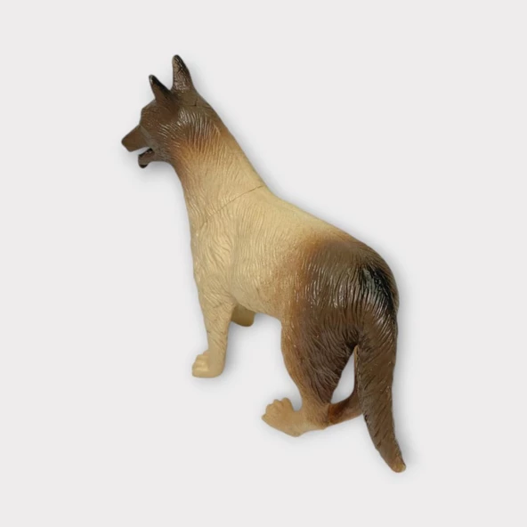 Çiftlik Hayvanları - Kurt Köpek - Resim 4