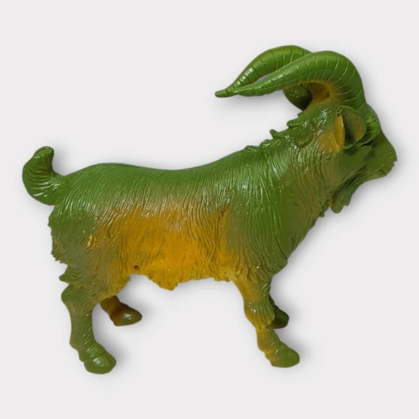 Çiftlik Hayvanları - Dağ Keçisi - 4