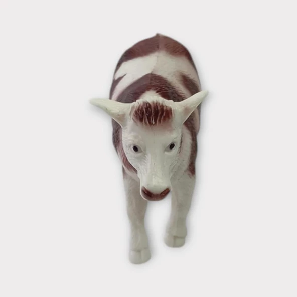 Çiftlik Hayvanları - İnek - 3