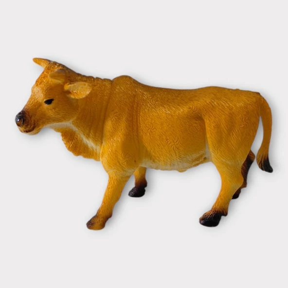 Çiftlik Hayvanları - Turuncu Boğa - Resim 2