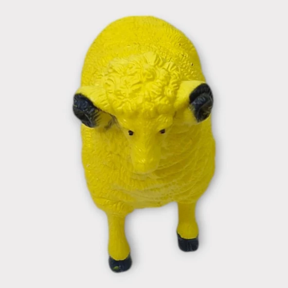 Çiftlik Hayvanları - Koyun - 4