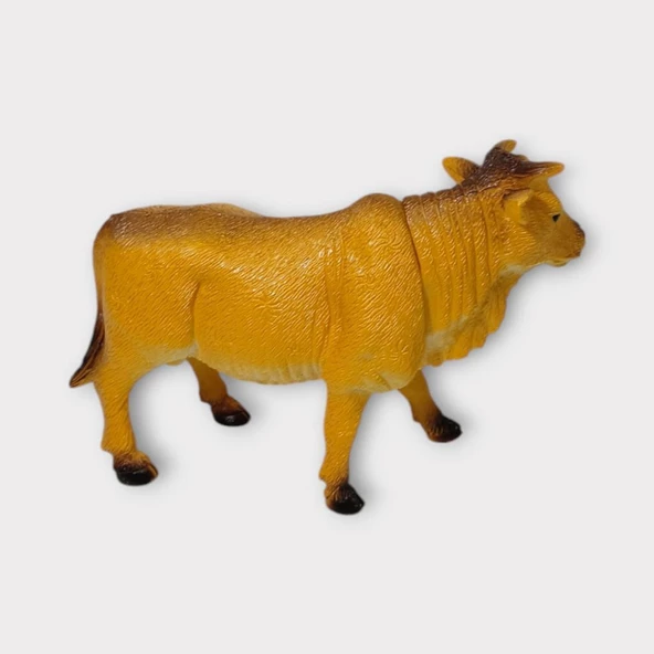 Çiftlik Hayvanları - Turuncu Boğa - Resim 4