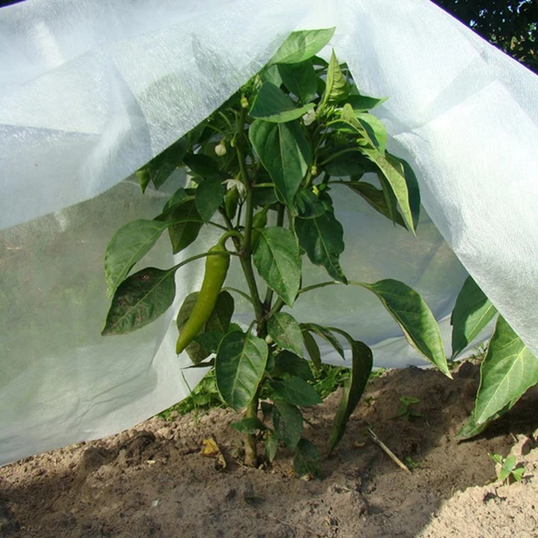 2,4x10 METRE 30gr AGRİL ISI DON ÖRTÜSÜ, ZİRAİ DON KIRAĞI ÖRTÜ KARPUZ ÇİLEK ÖRTÜSÜ, SERA TOPRAK ÖRTÜSÜ ELYAF - 4