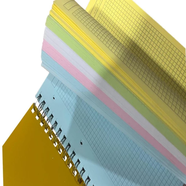 Özgün 220x297 mm Ringo Plastik Kapak Renkli Defter 200 Yaprak Kareli Krt-110552 - 2