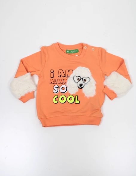 Kız Bebek Sweatahirt - Resim 10