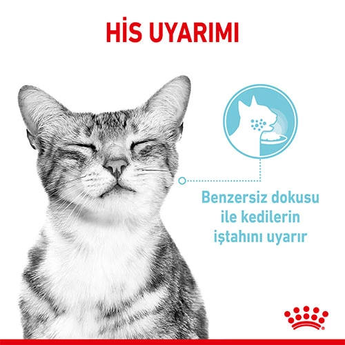 Royal Canin Sensory Feel in Gravy Adult Yetişkin Kedi Konservesi 85 Gr - Resim 3