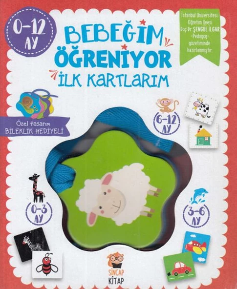 Bebeğim Öğreniyor - İlk Kartlarım (0 - 12 Ay)