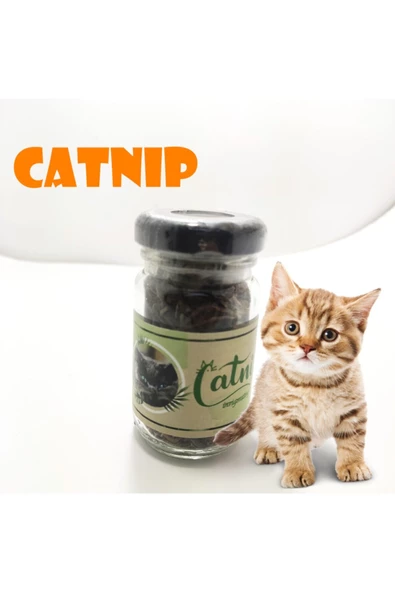 2 Adet Doğal Kedi Nanesi Catnip Otu