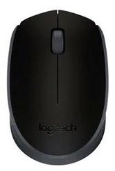 ONTECH - Logıtech M171 Kablosuz Usb Mouse Siyah 910-004424