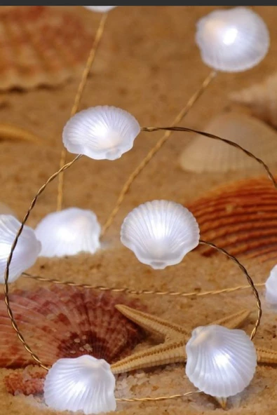 MAGICLEDCORNER Deniz Tarağı Led Işık Zinciri ürün görseli 1