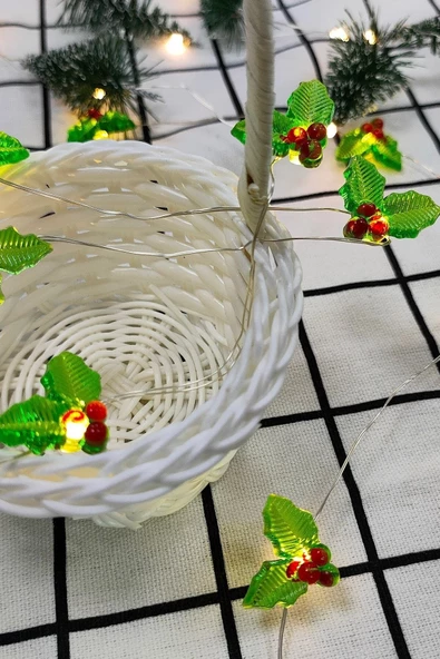 MAGICLEDCORNER Yılbaşı Peri Led Işık ürün görseli 1