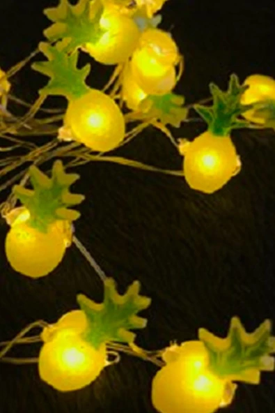 MAGICLEDCORNER Ananas Gümüş Tel Led GE3185 - Resim 3