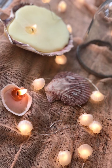 MAGICLEDCORNER Deniz Tarağı Led Işık Zinciri - Resim 2