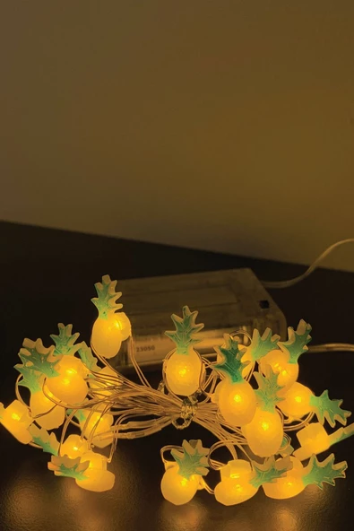 MAGICLEDCORNER Ananas Gümüş Tel Led GE3185 ürün görseli 1