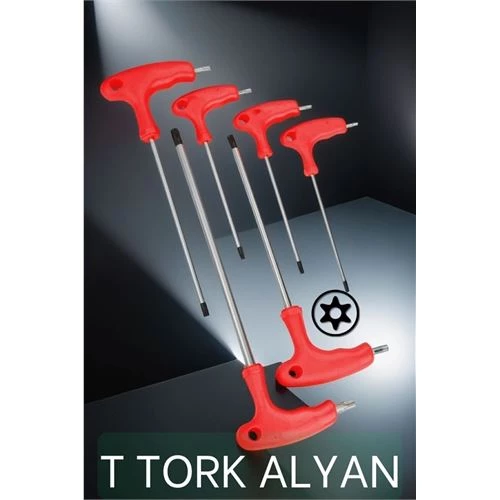 ModaCar T Tork Alyan Seti Eltos Design