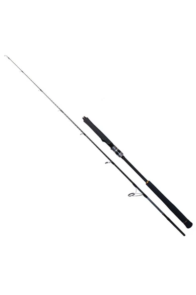 Ryuji Seawolf 1.68m 150-250gr 2p Jig Olta Kamışı