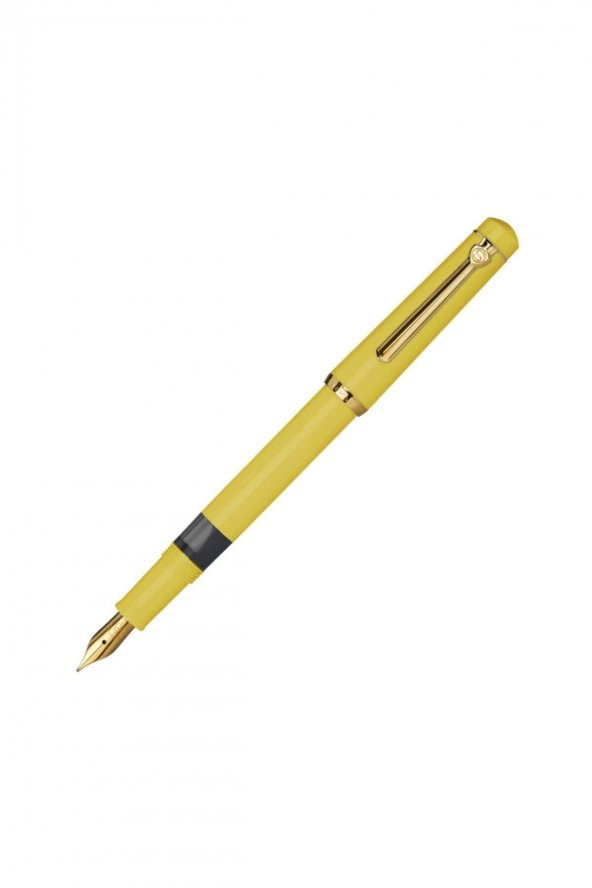 Scrikss Dolma Kalem Lüks Kutu Sarı 419