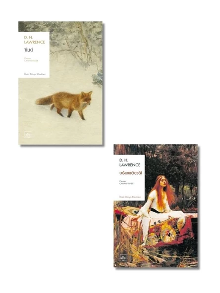 D. H. Lawrance 2 Kitap Takım ürün görseli