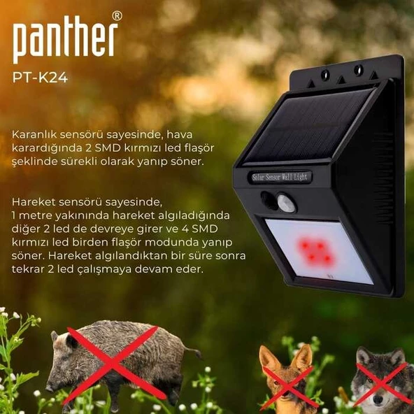 Panther PT-K24 Solar Led Sokak Lambası - 2