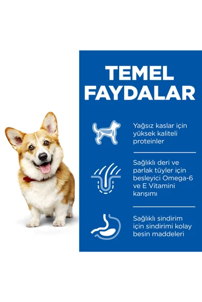 Hill's SCIENCE PLAN Tavuklu Küçük ve Mini Irk Yetişkin Köpek Maması 1,5 Kg - 6