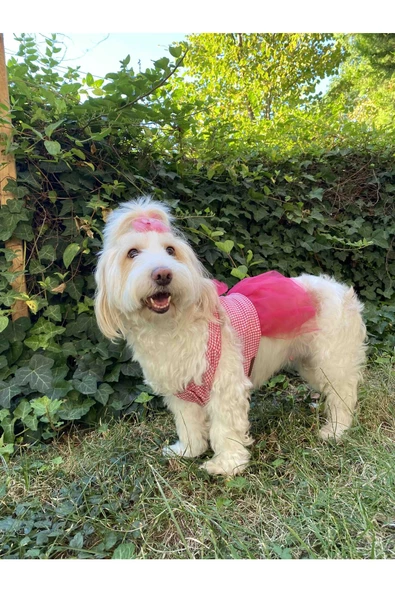 Gobo  Pembe Kareli Fiyonklu Tüllü Kedi Köpek Kıyafeti Elbisesi