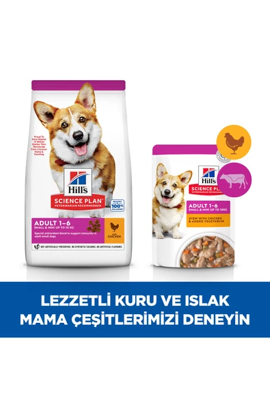 Hill's SCIENCE PLAN Tavuklu Küçük ve Mini Irk Yetişkin Köpek Maması 1,5 Kg - 2