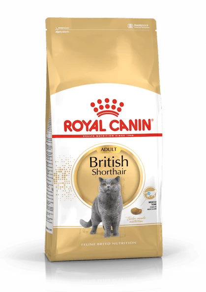 Royal Canin British Shorthair Kedi Maması 10 Kg