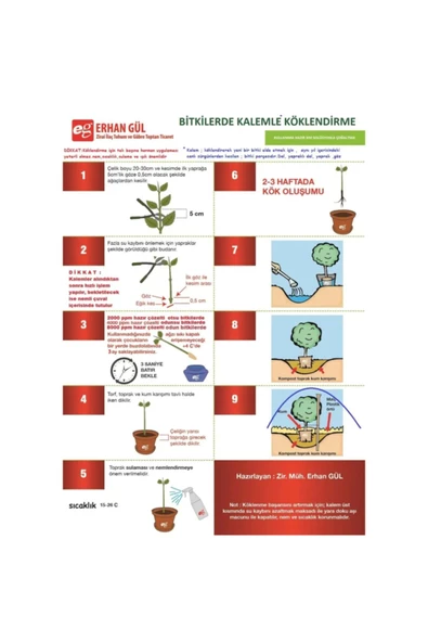 250 Cc 2000 Ppm Ağaçlarda Kalem Çelik Ile Çoğaltma Köklendirme Için Kullanıma Hazır Kök Hormonu - 3